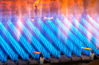 Summerleaze gas fired boilers